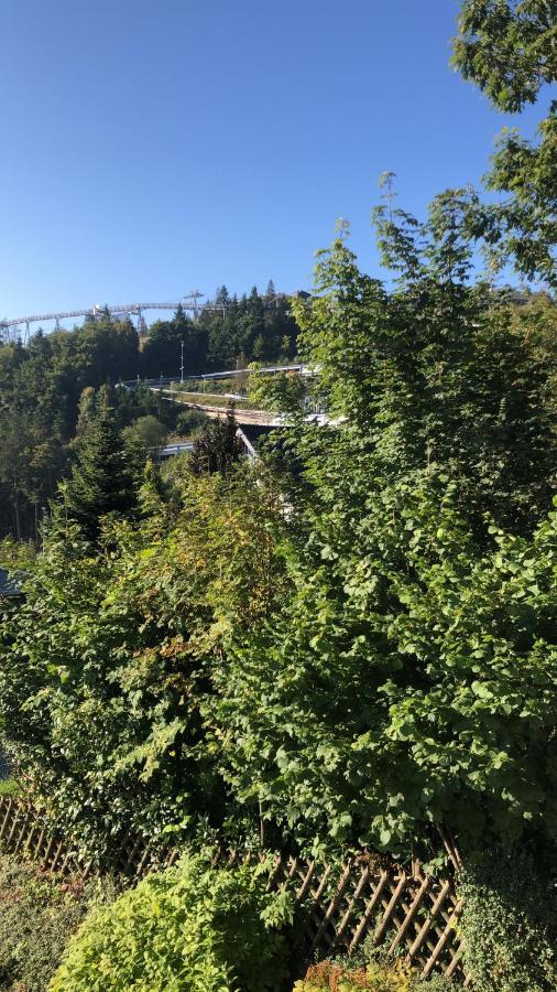 Veltins-Arena Fewo Buchenweg 27 Appartement Winterberg Exteriör bild